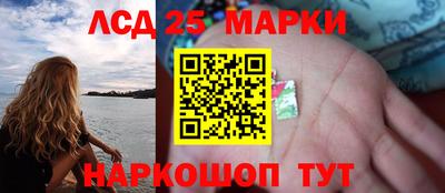 гидра Будённовск