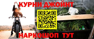 гидра Будённовск