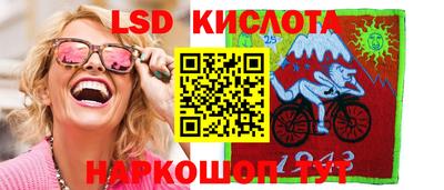 гидра Будённовск