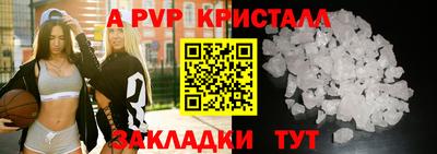 гидра Будённовск