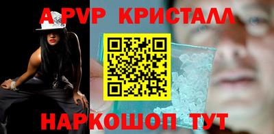 гидра Будённовск