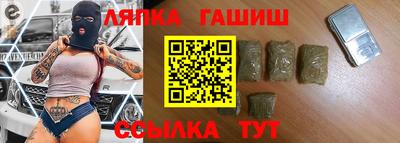 гидра Будённовск