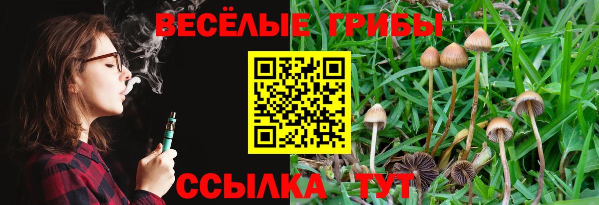 Псилоцибиновые грибы Magic Shrooms Кубинка